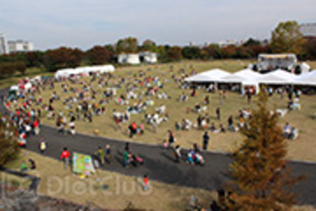 ゆめひろば会場概観