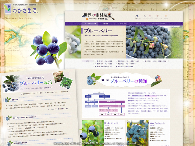 ブルーベリー図鑑