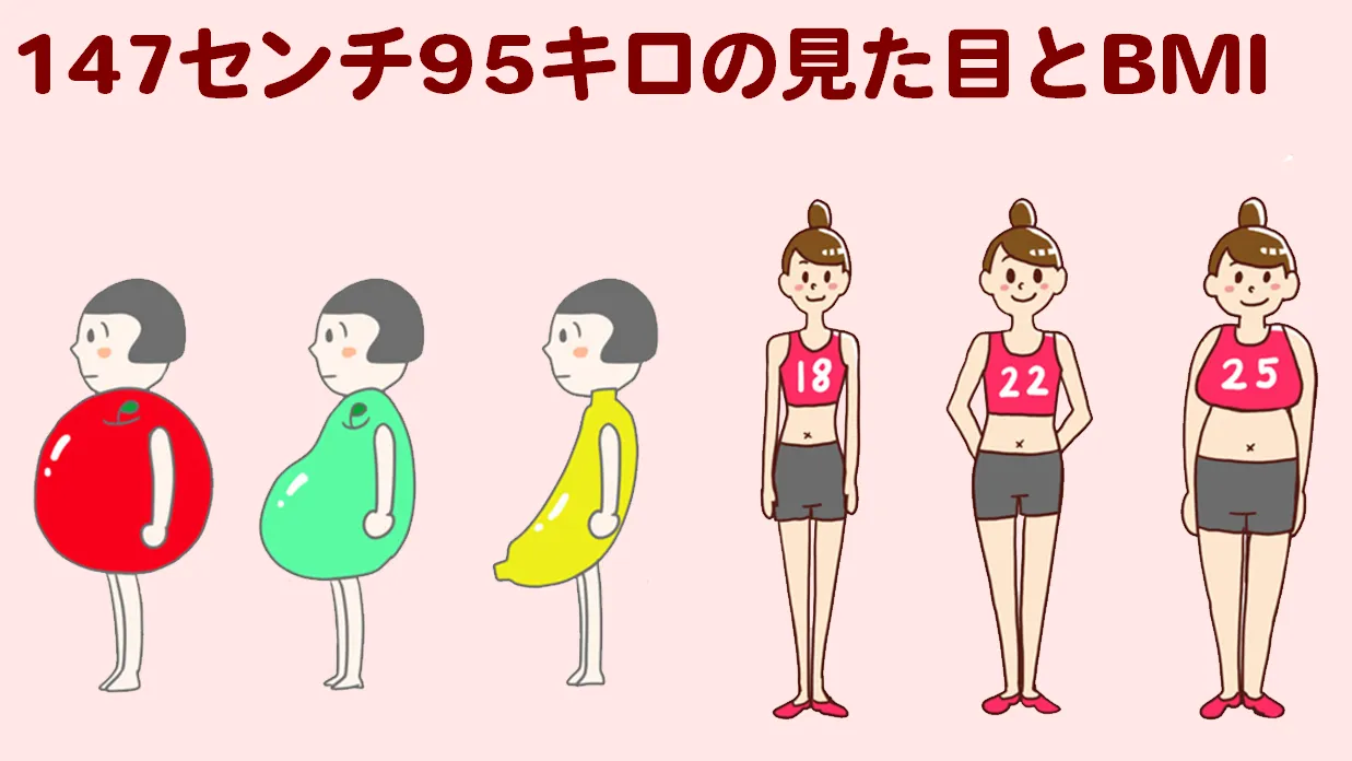 147cm-95kg