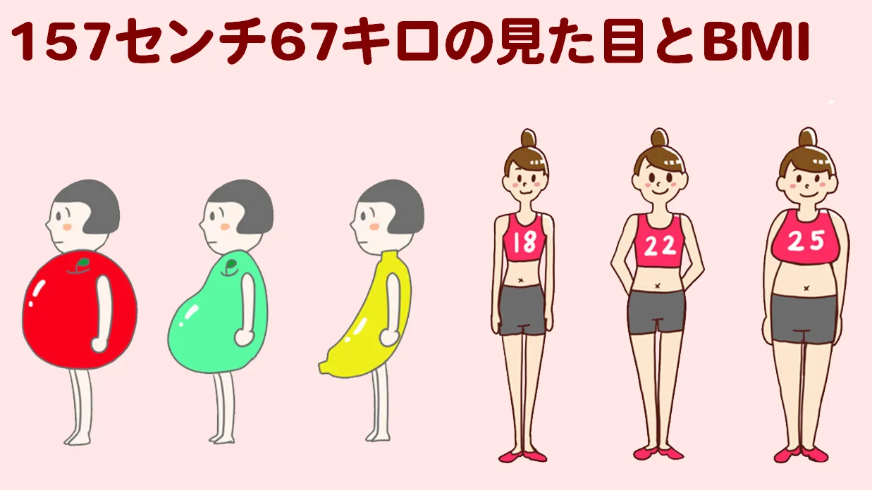 157cm-67kg