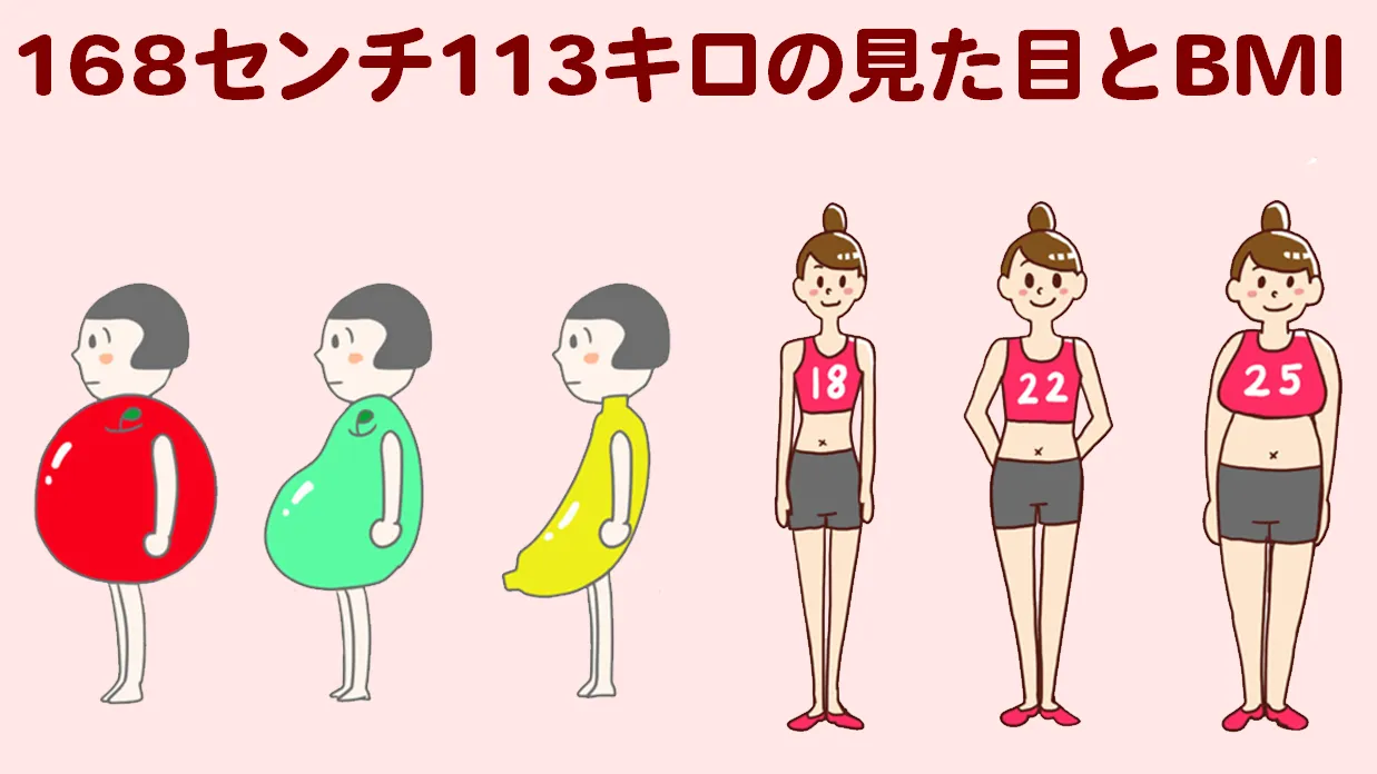 168cm-113kg