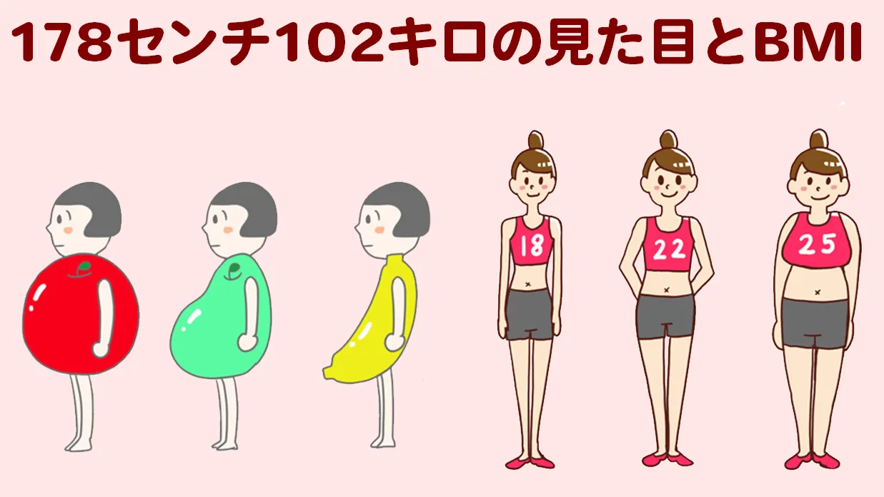 178cm-102kg