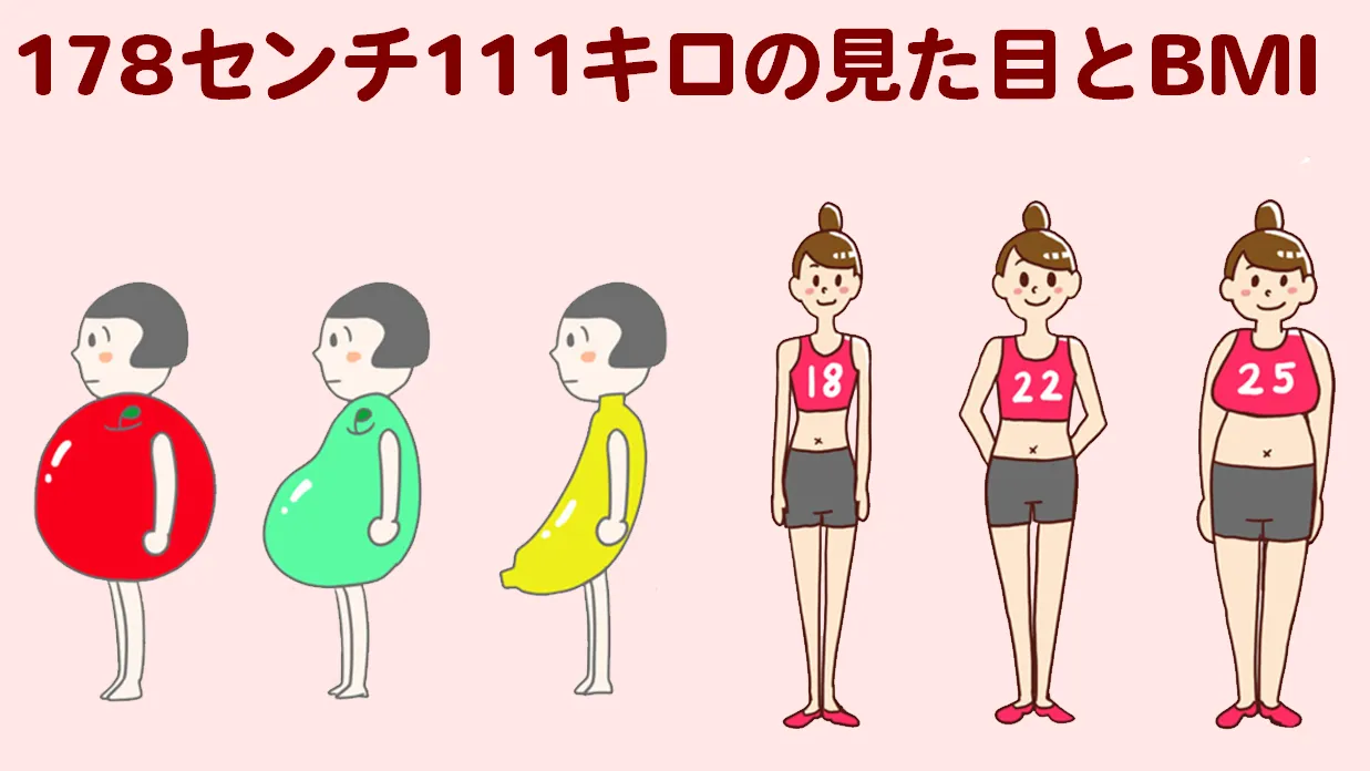 178cm-111kg