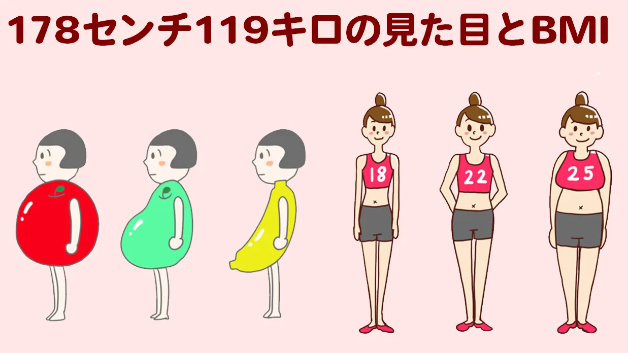 178cm-119kg