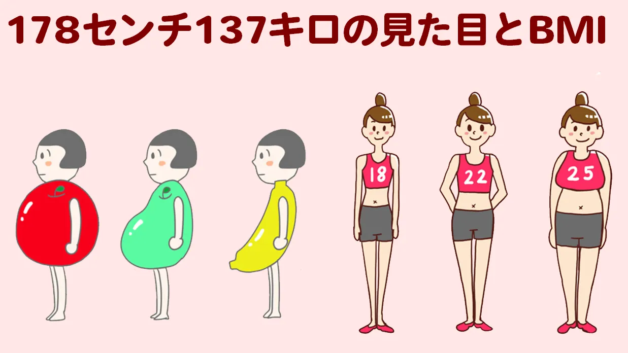 178cm-137kg