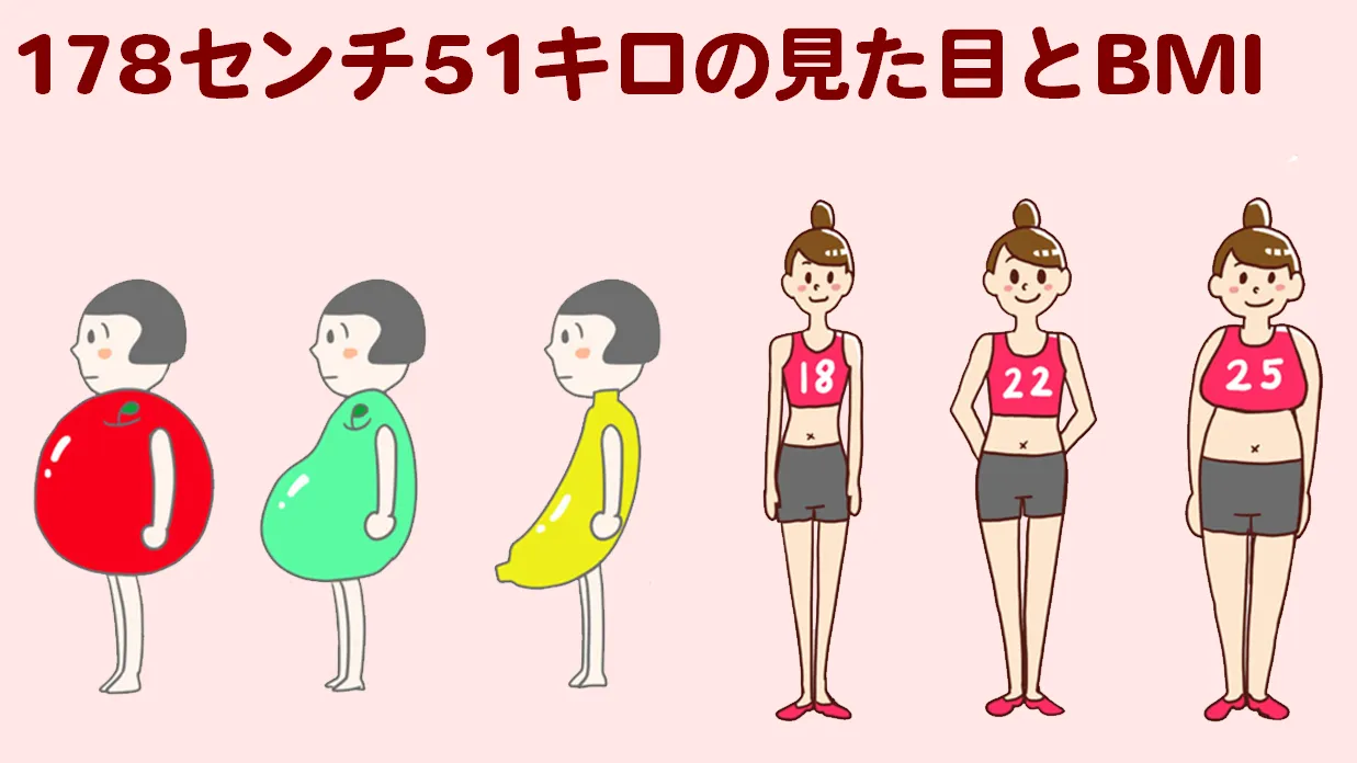 178cm-51kg