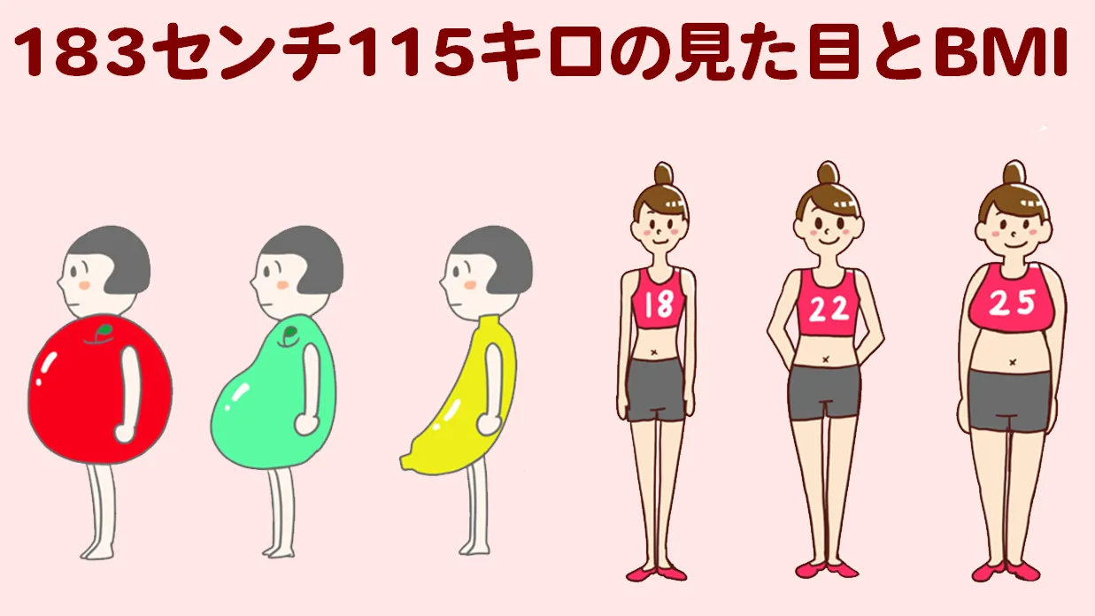 183cm-115kg